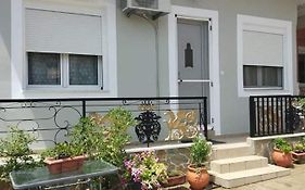 Sady'S House